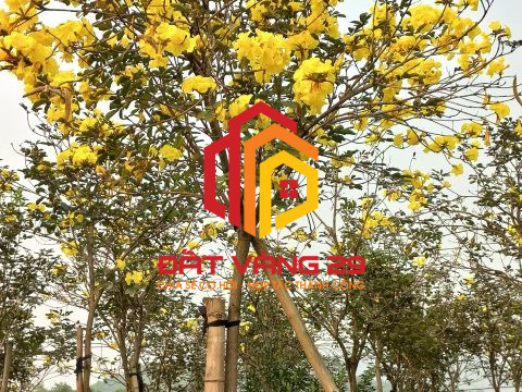 Siêu phẩm nghỉ dưỡng – ở Lương Sơn – Hoà Bình   S=28000m