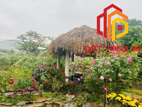 Gia đình cần bán nhà vườn nghỉ dưỡng ở Lương Sơn – Liên Sơn – Hoà Bình  S=3150m