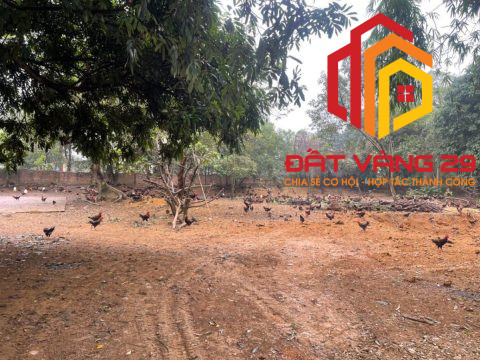 Bán đất gần đường QL21A -Hoàng văn thụ – chương mỹ    S=1940m2