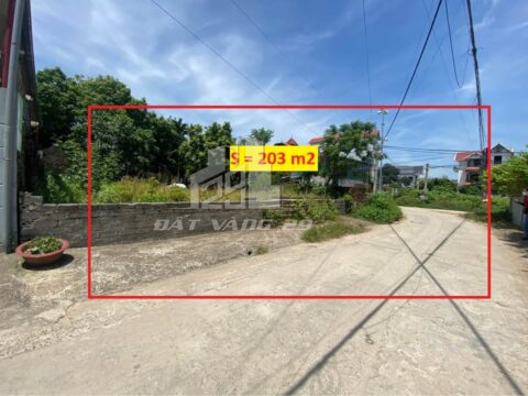 Chính chủ cần bán đất – Trung tâm xã phú nghĩa    S=203m2