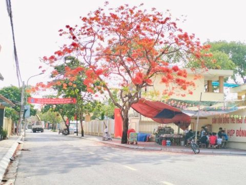 Cần bán siêu phẩm trục chính Xã hợp đồng – chương mỹ – hà nội