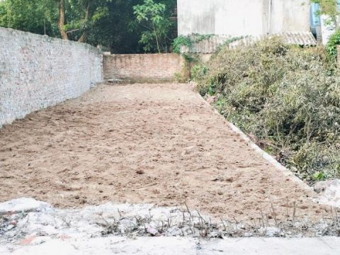 SIÊU PHẨM PHƯỢNG ĐỒNG – GIÁ YÊU THƯƠNG S=74m2