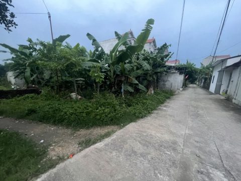 Bán đất thổ cư thượng vực chương mỹ Giá tốt cho nhà đầu tư S=200m