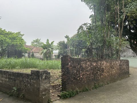 Bán lô đất nền phương hạnh tân tiến – Chương mỹ – Sổ Đỏ Chính Chủ – S=578m