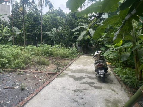 SIÊU PHẨM HÀNG HIẾM PHỐ CHỢ TT CHÚC SƠN – S=39m