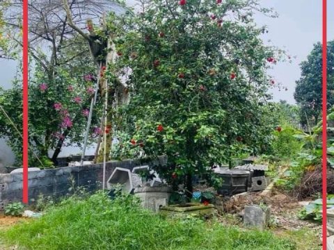 Bán đất thổ cư tại Thuỷ Xuân Tiên – Chương Mỹ – Vị trí đẹp, giá đầu tư S=108m2