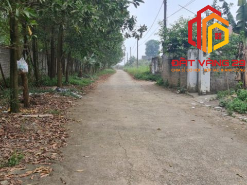 Bán gấp 360m² đất view trực diện sân Golf Sky Lake – đẹp như gái 18.