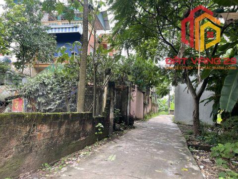 Hàng HOT FO  đẹp trung tâm phượng đồng phụng châu chương mỹ  S=58m2