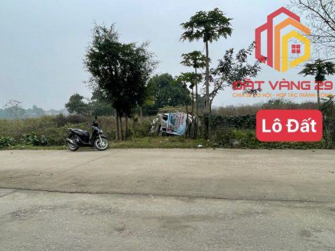 ĐẤU GIÁ XÃ THANH BÌNH – rẻ hơn thổ cư là có thật  S=92m