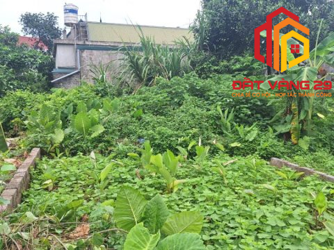 Bán đất thổ cư tại thôn Văn Mỹ, xã Hoàng Văn Thụ, Huyện Chương Mỹ, Hà Nội.   S=60m