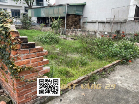 Bán đấy trường yên chương mỹ 81m² – Khu dân cư đông – giá tốt 