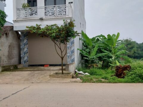 Bán đất Thuần Lương Hoàng Văn Thụ 260m² giao thương nhộn nhịp, dân cư đông 