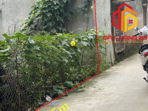 Lô đất ở Ngọc Giả – Ngọc Hòa – Chương Mỹ – Hà Nội   S= 96,3m2