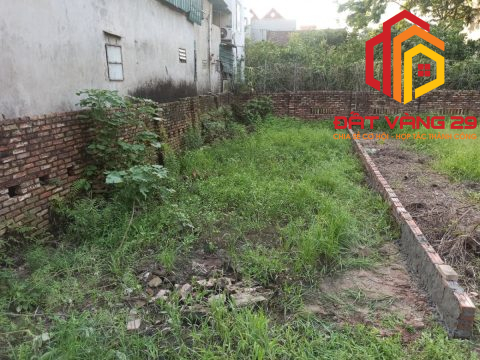 Mảnh đất đẹp giá hợp lý 56m2 trung tâm phụng châu chương mỹ