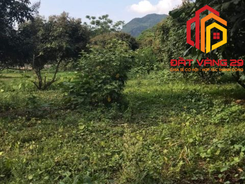 lô đất 2680m2 ở Kim Bôi – Hòa Bình