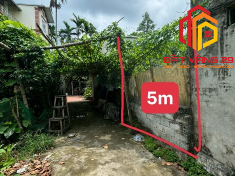 Bán Lô đất Phượng Đồng – Phụng Châu – Chương Mỹ – Hà Nội   S=50m2