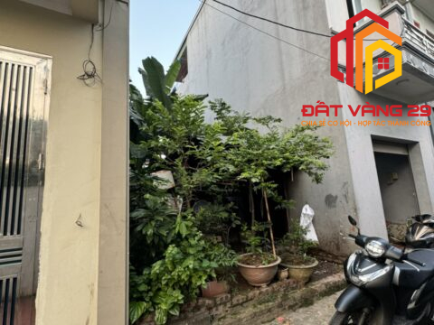 Bán Lô đất ở Phượng Đồng – Phụng Châu – CHương Mỹ – Hà Nội   S=50,8m2