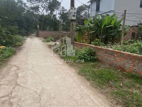 Lô đất 56m2 Phú Bến – Thụy Hương – Chương Mỹ – Hà Nội