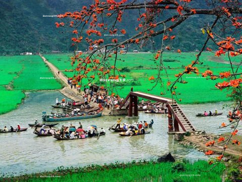 Chính chủ bên em trúng mấy lô đấu giá Lê Thanh,Xuy Xá – Mỹ Đức