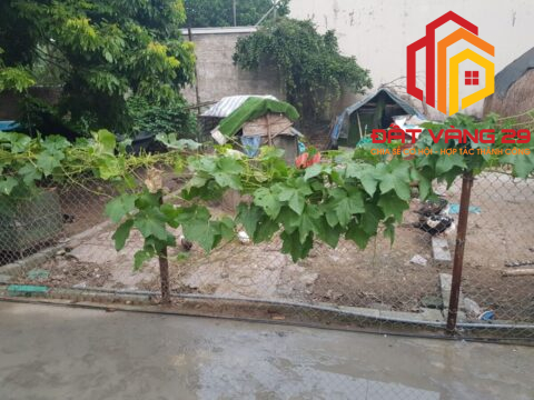 Bán Lô đất Thôn Cả – Ngọc Hòa – Chương  Mỹ – Hà Nội   S=42,1m2