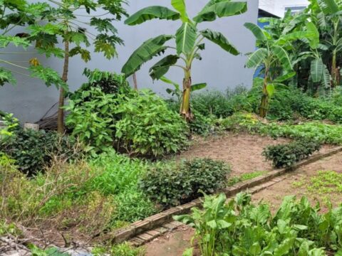 Lô đất 75m2 Phú bến – Thụy Hương – Chương Mỹ – Hà Nội