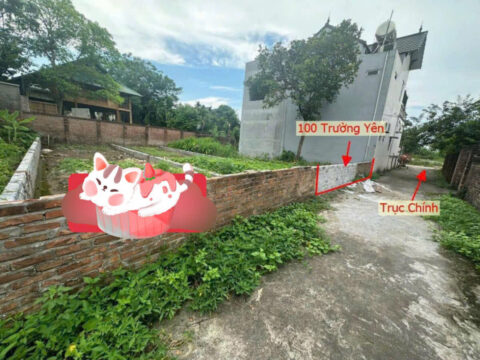 Lô đất 300m2 Tân Yên – Trường Yên – Chương Mỹ – Hà Nội