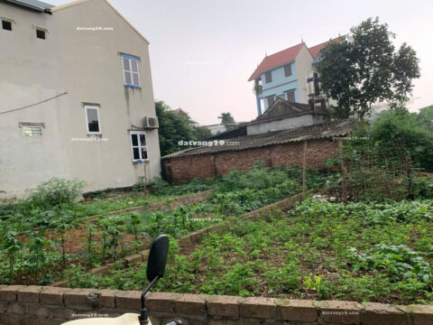 Bán Đất Xóm Chùa Trung Cao – 47,1m² – Vị Trí Đẹp – Giao Thông Thuận Tiện – Sổ Đỏ Chính Chủ