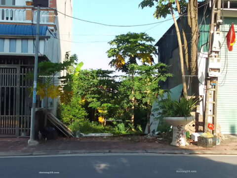 Lô đất 106m2 Chúc Đồng – Thụy Hương – Chương Mỹ – Hà Nội