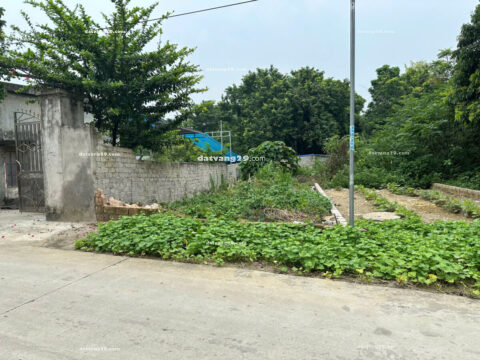 Bán đất full thổ cư ở Nam Sơn – Nam Phương Tiến – Đường trục chính kinh doanh nhỏ lẻ