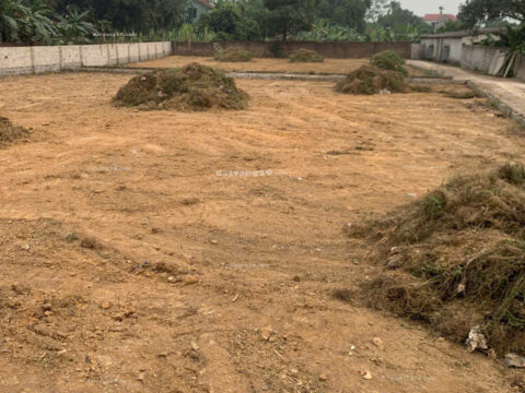 Chính Chủ cần bán 1601m2 Thôn Xuân Linh – Thủy Xuân Tiên – Chương Mỹ – Hà Nội