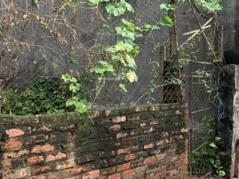 Lô đất 67,8m2 Đội 12 – Liên Hợp – Quảng Bị – Chương Mỹ – Hà Nội