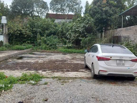 Chính chủ cần bán 168m2 Thôn Đồi Mít – Nam Phương Tiến – Chương Mỹ – Hà Nội