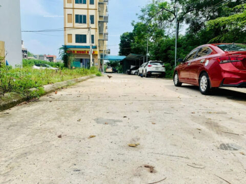 Bán đất đấu giá Thùng Rặng Ngái – Quảng Bị- Hà Nội -Nằm ở trung tâm xã Quảng Bị mọi tiện ích đầy đủ   LK1-1  S=77,18m2