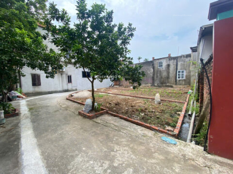 Bán Đất Thổ cư ở Lũng Vị,Đông phương Yên, Chương Mỹ, Hà Nội               – S= 54,5m2