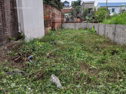 Chính Chủ cần bán 126,4m2 thuộc Tiên Trượng – Thủy Xuân Tiên – Chương Mỹ – Hà Nội