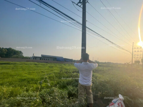 Siêu Phẩm Đấu Giá Đồng Đầm Thượng Vực – Trục Chính Kinh Doanh – Giá tốt S=84,31m2 (LK13)