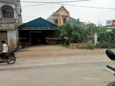 Đất đấu giá đồng đầm thượng vực – Mặt đường kinh doanh – Giá tốt S=81,91m2 (LK16)