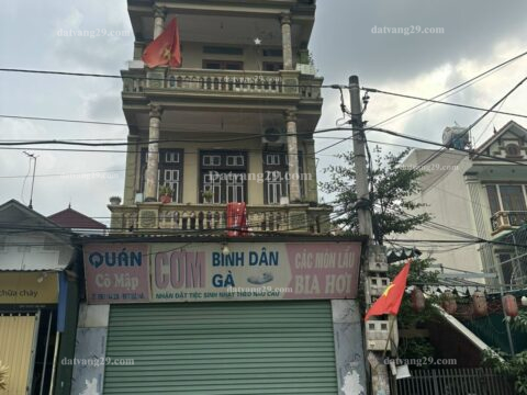 Chính Chủ cần bán 96,5m2 thuộc Thôn Phượng Động – Phụng Châu – Chương Mỹ – Hà Nội