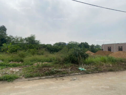 Cần bán LK 61 khu đấu giá xã Đông Sơn huyện Chương Mỹ TP Hà Nội.