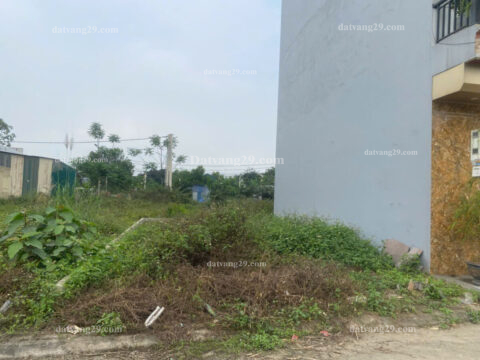 Bán đất đấu giá Đông Sơn – Chương Mỹ – Hà Nội  – LK 22   S=70.3m2