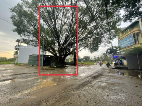 Bán đất đấu giá xã Đông Sơn huyện Chương Mỹ TP Hà Nội.LK36