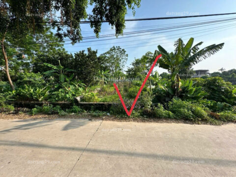 Chính Chủ cần bán 117m2 Đông Cựu – Đông Phương Yên – Chương Mỹ – Hà Nội