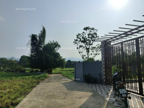 Chính Chủ cần bán 1130m2 thuộc Xóm Cây Đa – Mỹ Lương – Chương Mỹ – Hà Nội