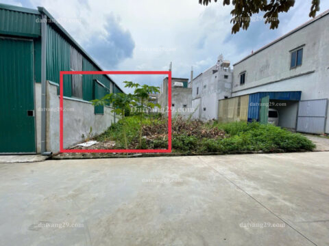 Bán đất tái định cư Phú Nghĩa Chương Mỹ, giá tốt S=50m