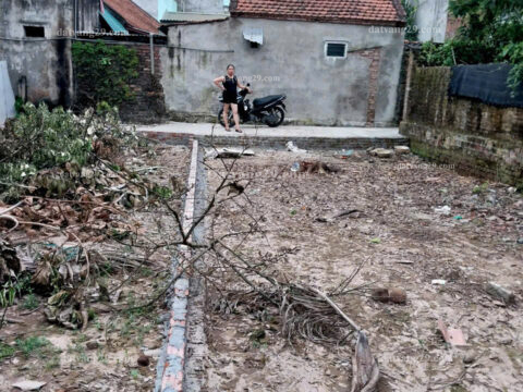 Chính Chủ cần bán 100m2 thuộc Xóm Nứa – Đại Yên – Chương Mỹ – Hà Nội