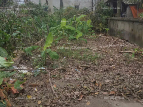 Chính Chủ cần bán 49,7m2 thuộc Thôn Bãi – Cao Viên – Thanh Oai – Hà Nội