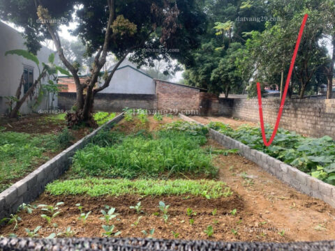 Chính Chủ cần bán 86,7m2 thuộc Thôn Đông Nam – Nam Phương Tiến – Chương Mỹ – Hà Nội