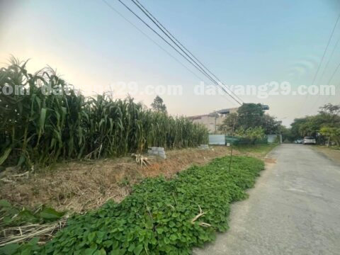 Bán đất thổ cư ở Đồi K6 – Thuỷ Xuân Tiên – Chương Mỹ – Hà Nội,đã tách làm 2 lô               S=200m2