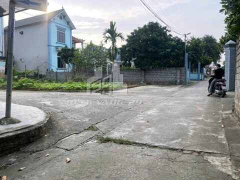 Bán Đất Chính Chủ Thôn Đồi Chè – Thanh Bình – Lô Đẹp, Sổ Sẵn, Giá Tốt S=275m²