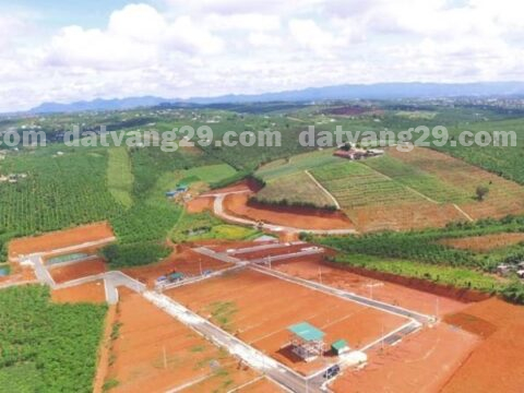 Các trường hợp chuyển mục đích sử dụng đất không phải xin phép